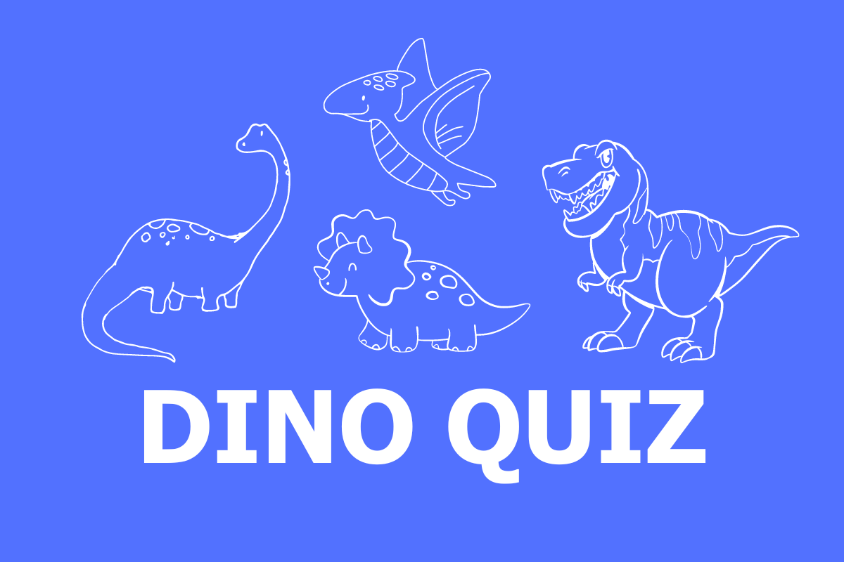 Dino Quiz