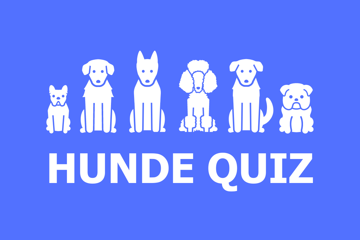 Hunde Quiz Quizco de