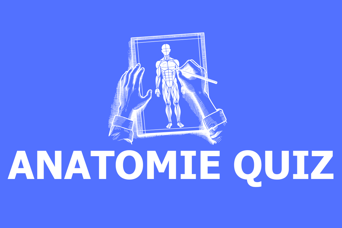 Anatomie Quiz